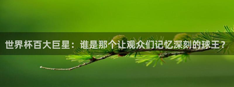 世界杯预选赛规则：世界杯百大巨星：谁是那个让观众们记忆深刻的球王？