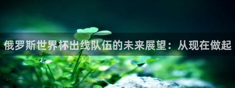 世界杯直播观看：俄罗斯世界杯出线队伍的未来展望：从现在做起