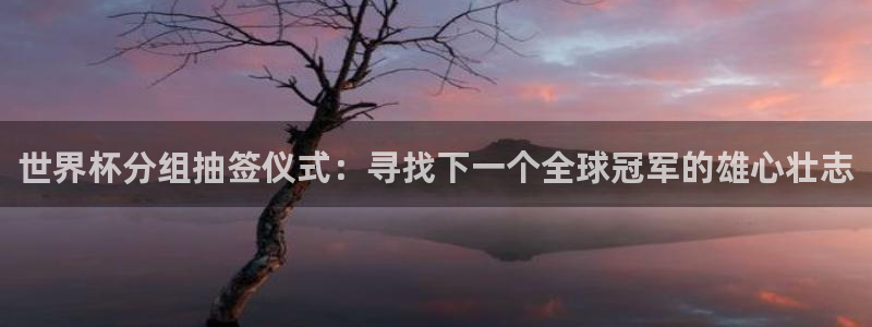世界杯足球比赛：世界杯分组抽签仪式：寻找下一个全球冠军的雄心壮志