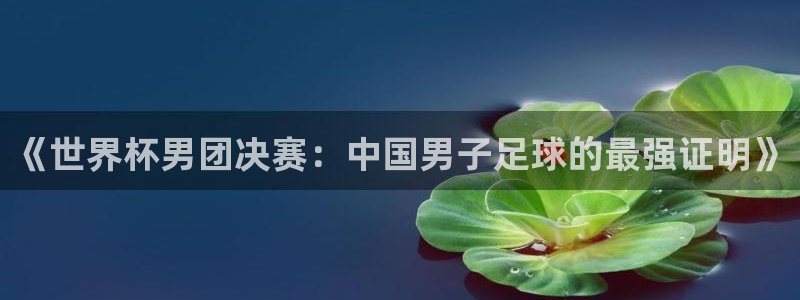 世界杯直播高清：《世界杯男团决赛：中国男子足球的最强证明》