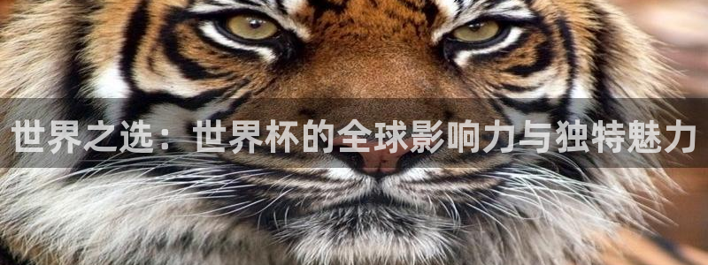 世界杯直播高清：世界之选：世界杯的全球影响力与独特魅力