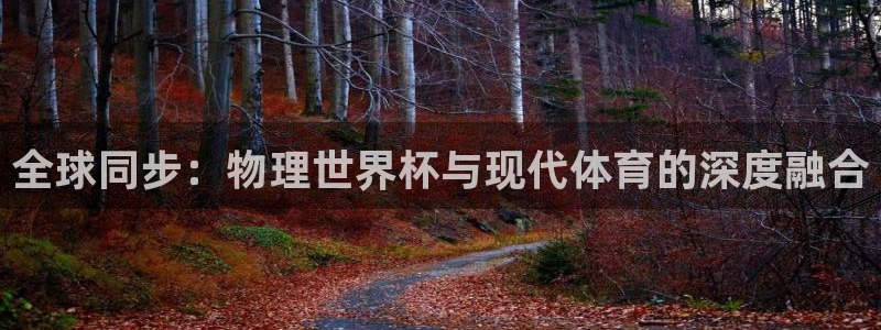 2026世界杯欧洲预选赛赛程表：全球同步：物理世界杯与现代体育的深度融合