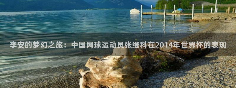 2026世界杯赛程：李安的梦幻之旅：中国网球运动员张继科在2014年世界杯的表现
