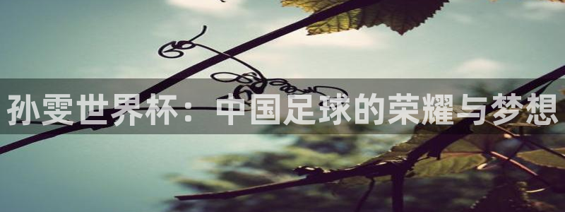 预选赛世界杯：孙雯世界杯：中国足球的荣耀与梦想