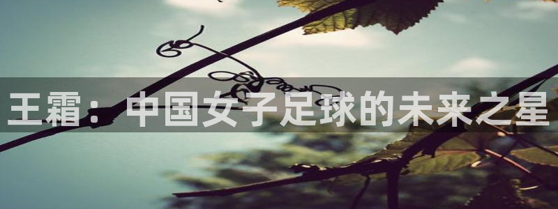 世界杯决赛圈球队：王霜：中国女子足球的未来之星
