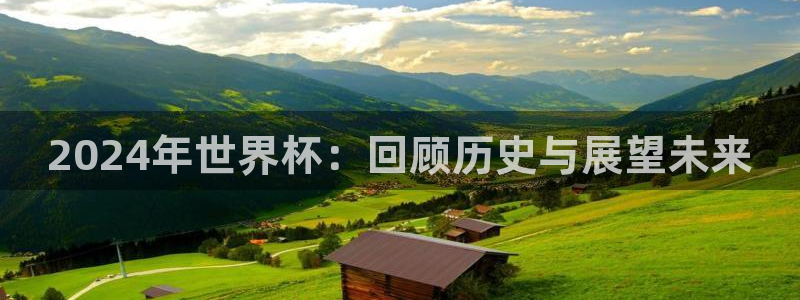 世俱杯直播：2024年世界杯：回顾历史与展望未来