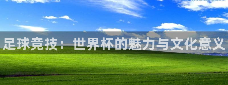 世界杯48支球队赛制：足球竞技：世界杯的魅力与文化意义
