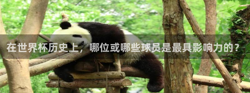 世界杯足球：在世界杯历史上，哪位或哪些球员是最具影响力的？